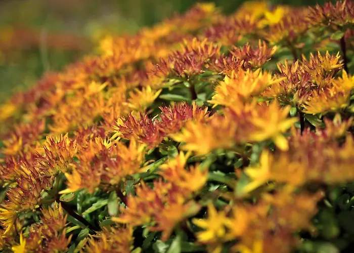 8 Pers Du Chateau De Cantecor