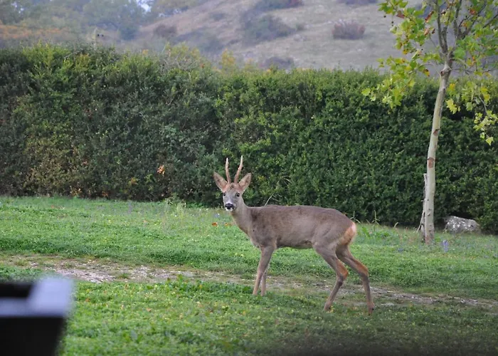 8 Pers Du Chateau De Cantecor *