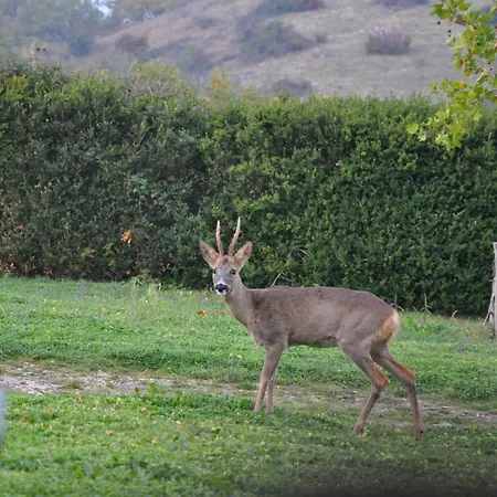 8 Pers Du Chateau De Cantecor *